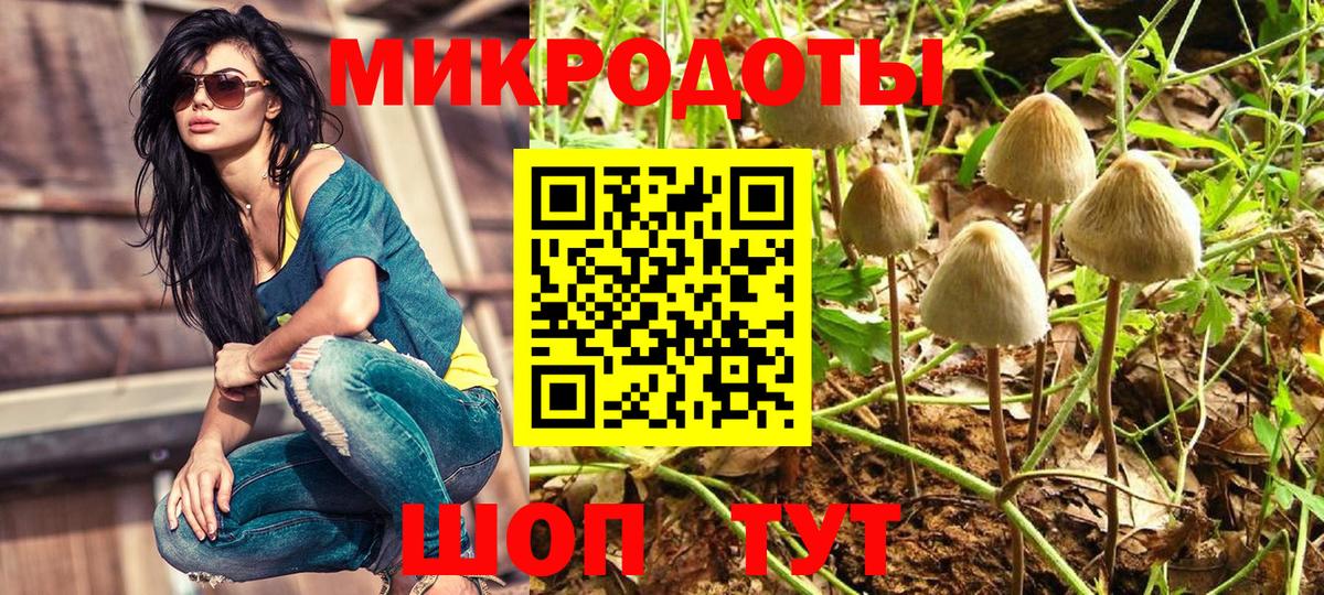 Псилоцибиновые грибы ЛСД Лабинск